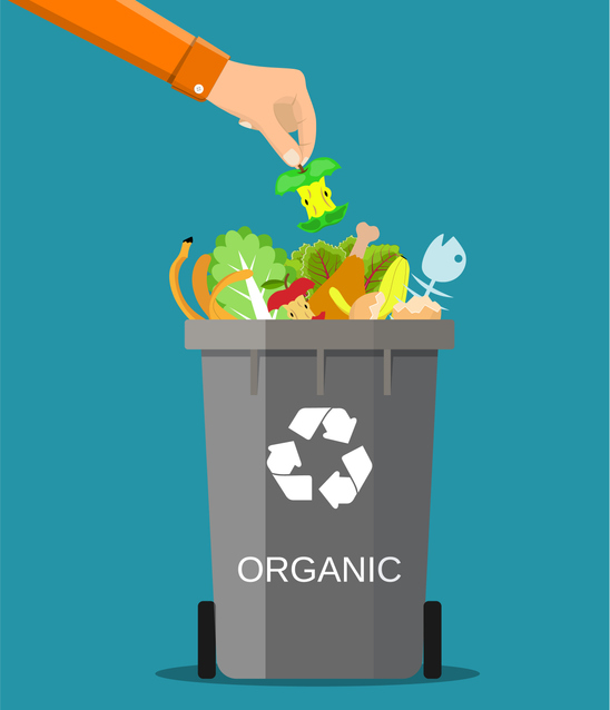 Organics & Food Waste at Home