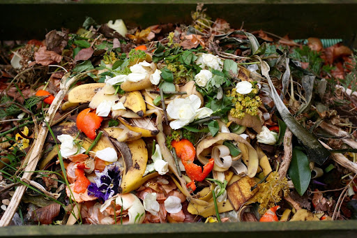 A dumpster filled with food waste. Food disposal ban.